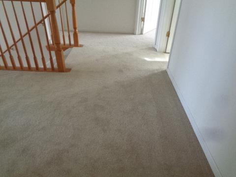 6009 Colgate Ln, Matteson, IL 60443 photo 11