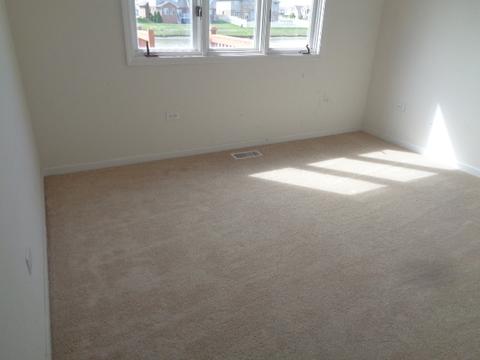 6009 Colgate Ln, Matteson, IL 60443 photo 10