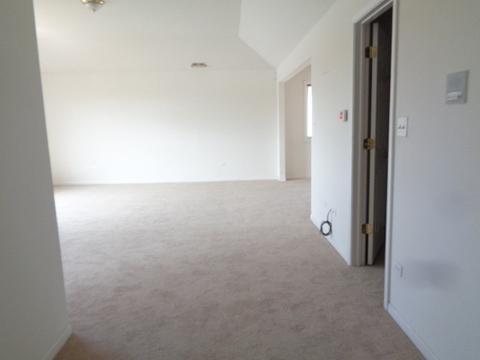 6009 Colgate Ln, Matteson, IL 60443 photo 13