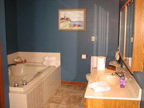 309 Prospect Ave, Dwight, IL 60420 photo 32