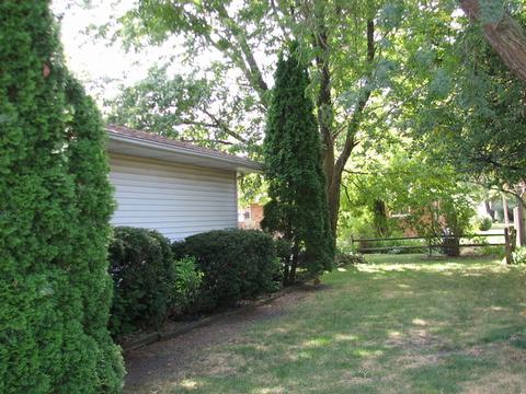 309 Prospect Ave, Dwight, IL 60420 photo 6