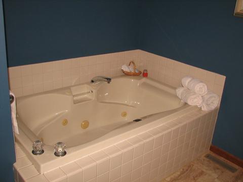 309 Prospect Ave, Dwight, IL 60420 photo 33