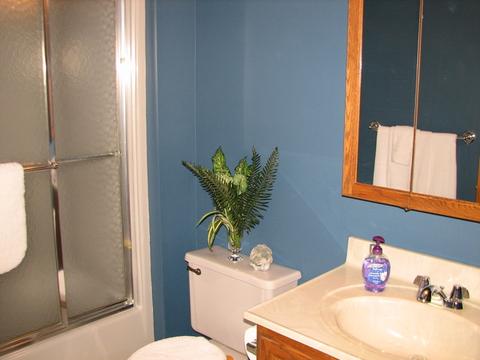 309 Prospect Ave, Dwight, IL 60420 photo 34