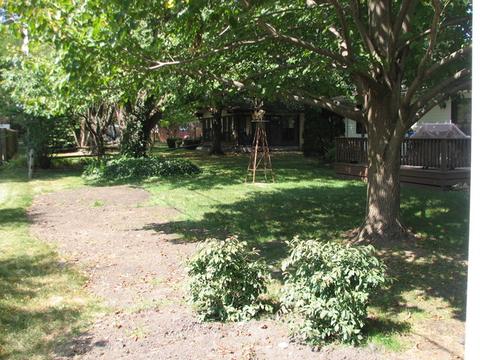 309 Prospect Ave, Dwight, IL 60420 photo 10