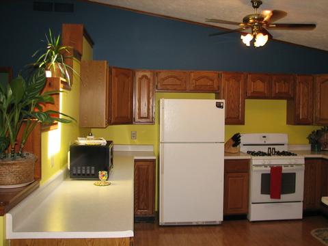309 Prospect Ave, Dwight, IL 60420 photo 19