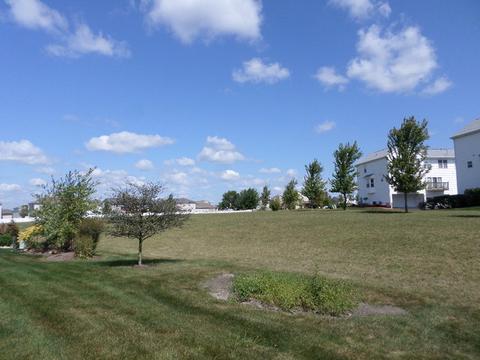 1453 Somerset Dr, Beecher, IL 60401 photo 3