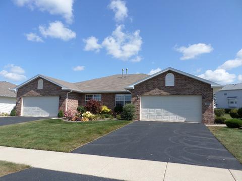 1453 Somerset Dr, Beecher, IL 60401 photo 1