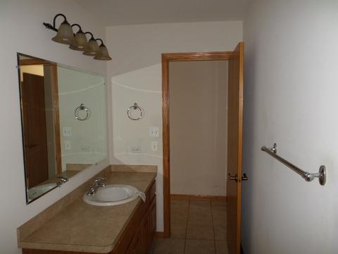 1453 Somerset Dr, Beecher, IL 60401 photo 10