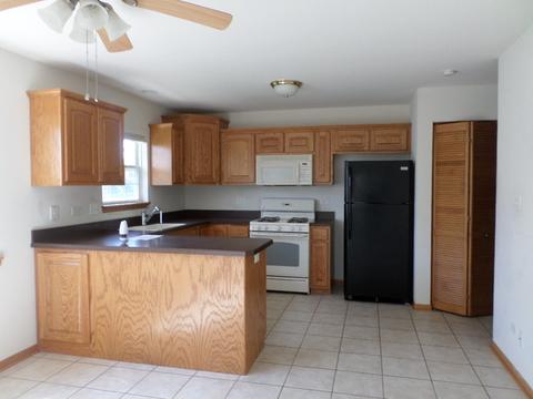 1453 Somerset Dr, Beecher, IL 60401 photo 5