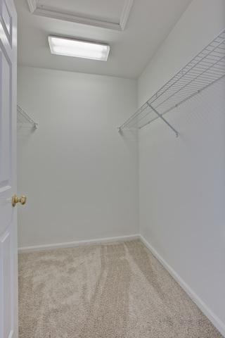 1090 E Danbury Dr, Cary, IL 60013 photo 19
