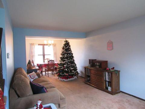 370 S Western Ave, Bartlett, IL 60103 photo 6