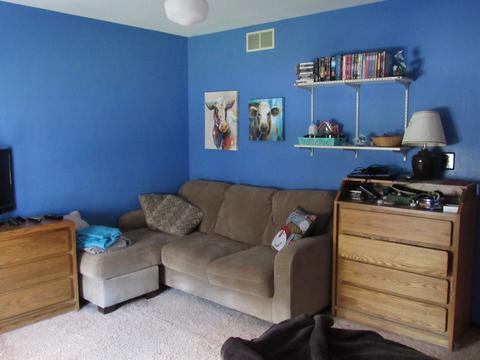 370 S Western Ave, Bartlett, IL 60103 photo 19