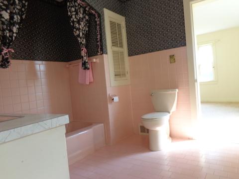 670 S Rutledge Ave, Kankakee, IL 60901 photo 25