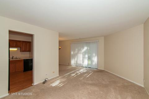 1656 Dover Ct #D, Wheaton, IL 60189 photo 3