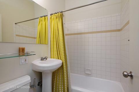 61 E Cedar St #3AB, Chicago, IL 60611 photo 10