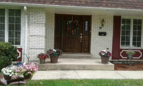 639 Birch Ln, Olympia Fields, IL 60461 photo 14