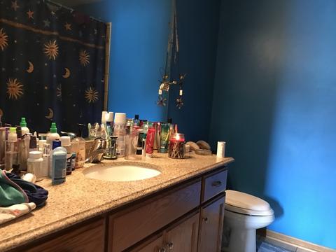 140 E 225th St, Steger, IL 60475 photo 7