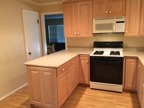 857 Rose Ave, Des Plaines, IL 60016 photo 7