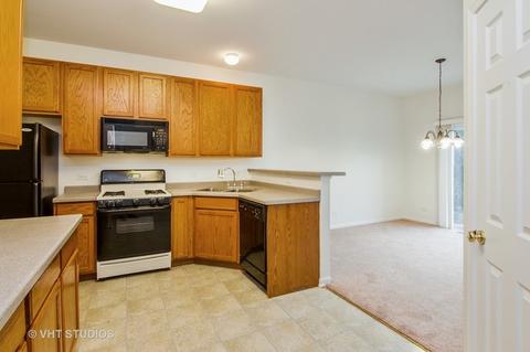 148 Durango Dr, Gilberts, IL 60136 photo 5