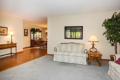 16055 S Peerless Dr, Plainfield, IL 60586 photo 4