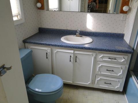 403 E 2nd St, Gilman, IL 60938 photo 20