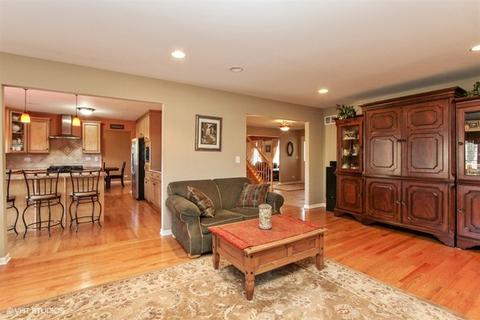 420 E Fay Ave, Addison, IL 60101 photo 8