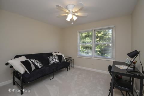 295 Stonegate Rd, Trout Valley, IL 60013 photo 17