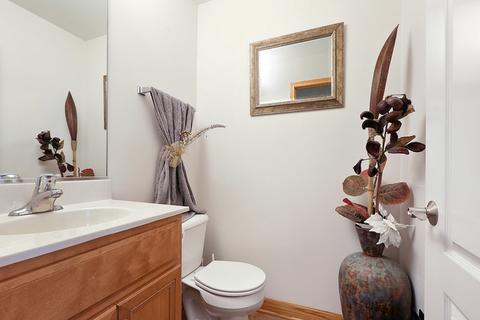 4801 W Falcon Ct, Monee, IL 60449 photo 8