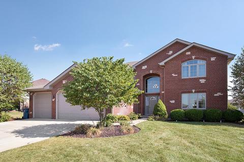 4801 W Falcon Ct, Monee, IL 60449 photo 2
