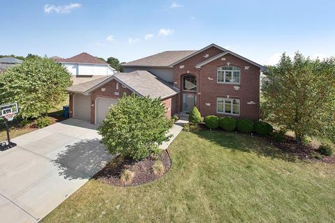 4801 W Falcon Ct, Monee, IL 60449 photo 1