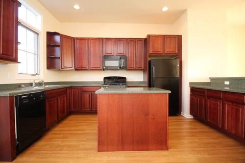 149 S Grove Ave, Elgin, IL 60120 photo 8