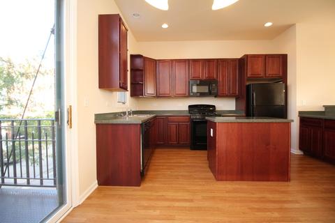 149 S Grove Ave, Elgin, IL 60120 photo 9