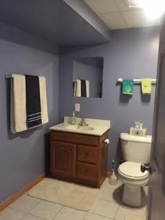 1011 Wise St, Elburn, IL 60119 photo 20