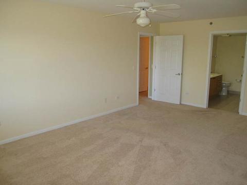 8030 Riverwalk Dr #6B, Lyons, IL 60534 photo 13