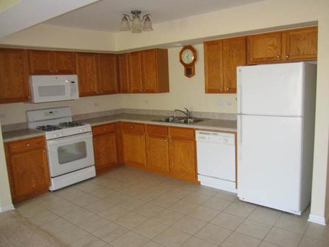 8030 Riverwalk Dr #6B, Lyons, IL 60534 photo 9