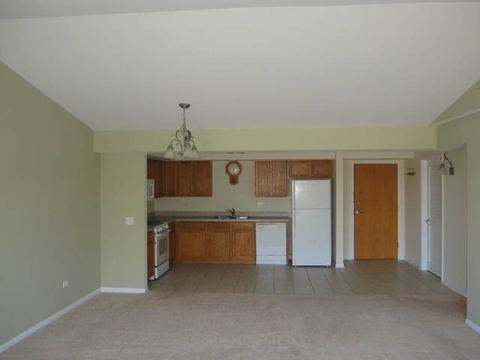 8030 Riverwalk Dr #6B, Lyons, IL 60534 photo 7