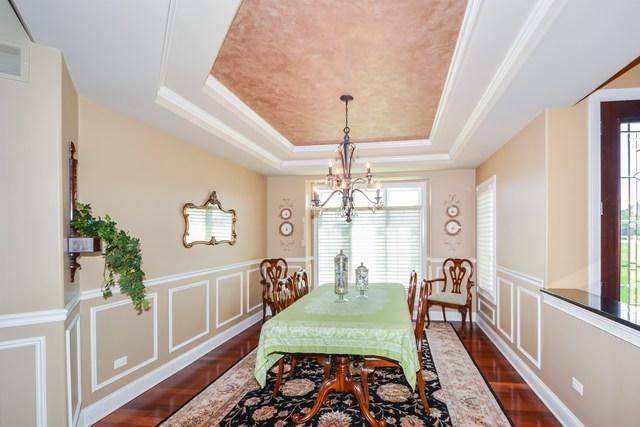  9178 Holland Harbor Cir, Frankfort, IL 60423 photo 6