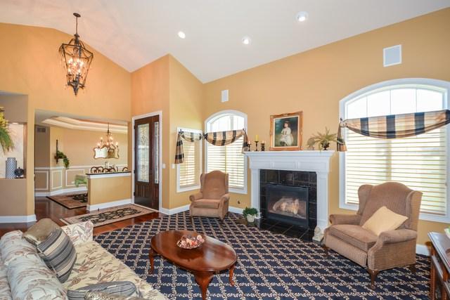  9178 Holland Harbor Cir, Frankfort, IL 60423 photo 5