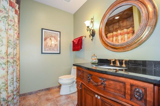  9178 Holland Harbor Cir, Frankfort, IL 60423 photo 21