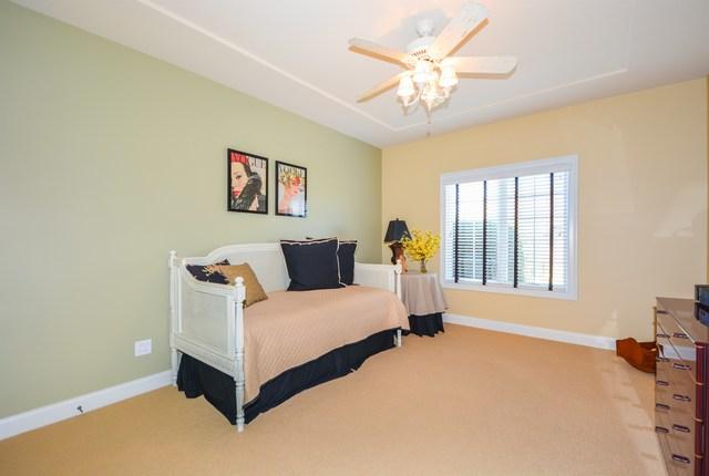  9178 Holland Harbor Cir, Frankfort, IL 60423 photo 19