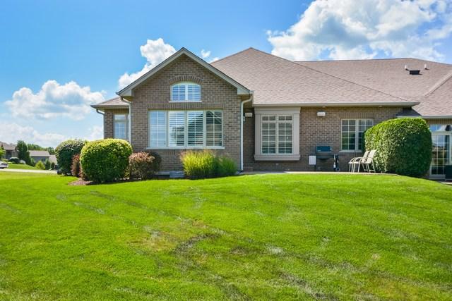  9178 Holland Harbor Cir, Frankfort, IL 60423 photo 25