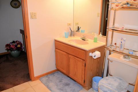 19285 Maple St, Lansing, IL 60438 photo 21