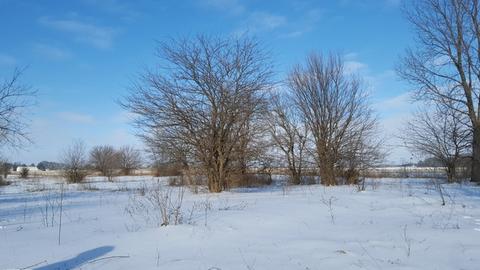20216 Harmony Rd, Marengo, IL 60152 photo 7