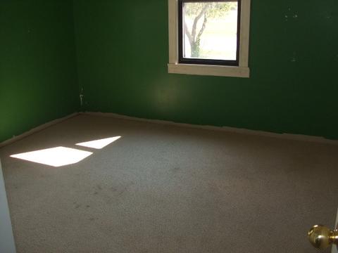 411 N Walnut St, Onarga, IL 60955 photo 6