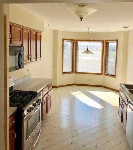213 Lake Dr #2A, Olympia Fields, IL 60461 photo 9