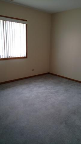 213 Lake Dr #2A, Olympia Fields, IL 60461 photo 24