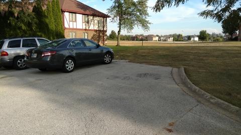 213 Lake Dr #2A, Olympia Fields, IL 60461 photo 3