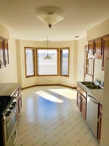 213 Lake Dr #2A, Olympia Fields, IL 60461 photo 10