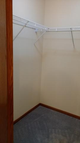213 Lake Dr #2A, Olympia Fields, IL 60461 photo 21