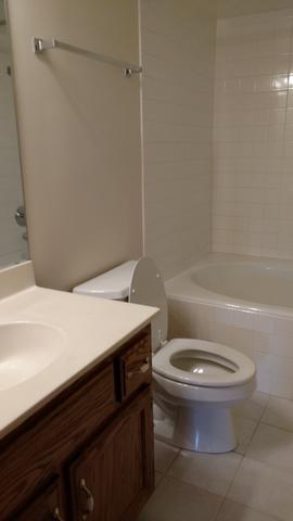 213 Lake Dr #2A, Olympia Fields, IL 60461 photo 17